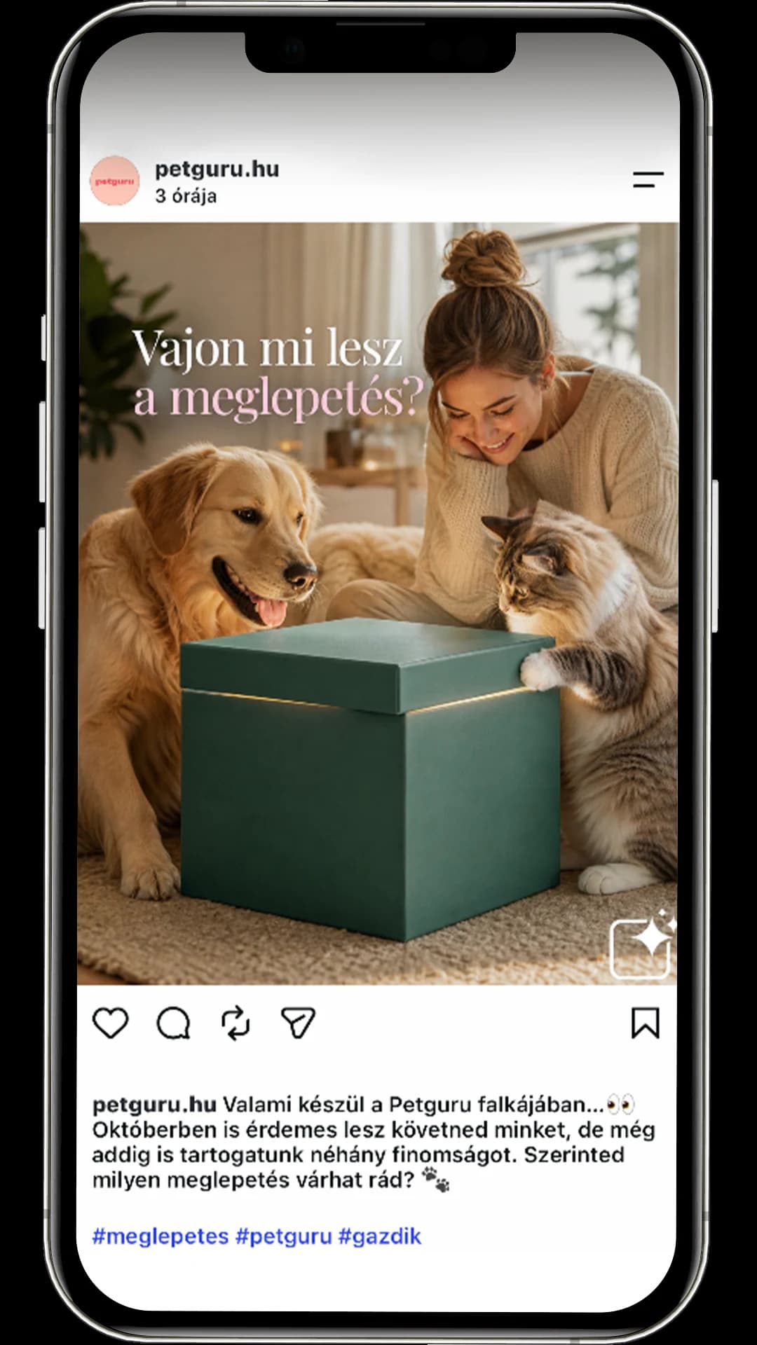 Petguru – szemléltető social poszt a Creative Hub sales prezentációjából